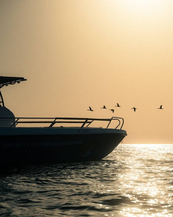 Мальчишник и девичник в Дубае: 12+ идей,