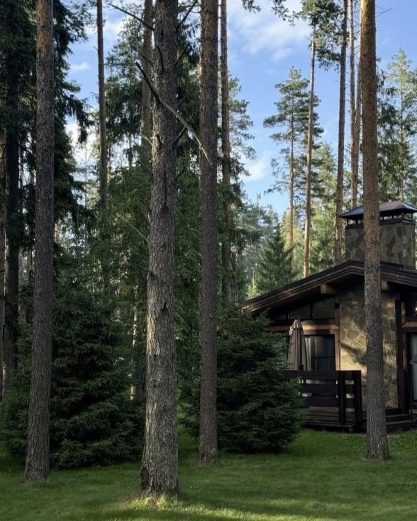 Маршрут построен: отправляемся на выходные в Ленобласть