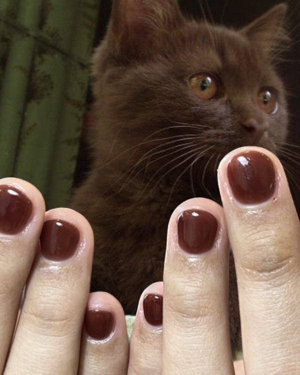 Красивым ноготочкам повод не нужен: главные тренды