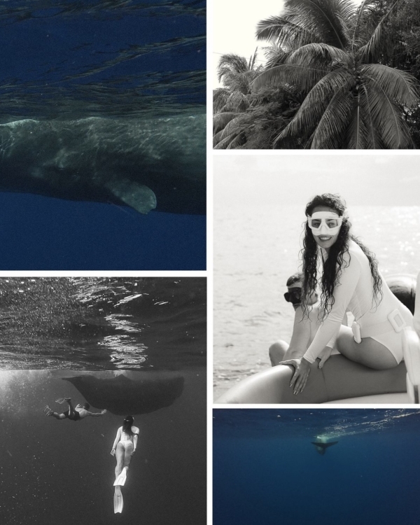 Где напечатать красивую свадебную фотокнигу?