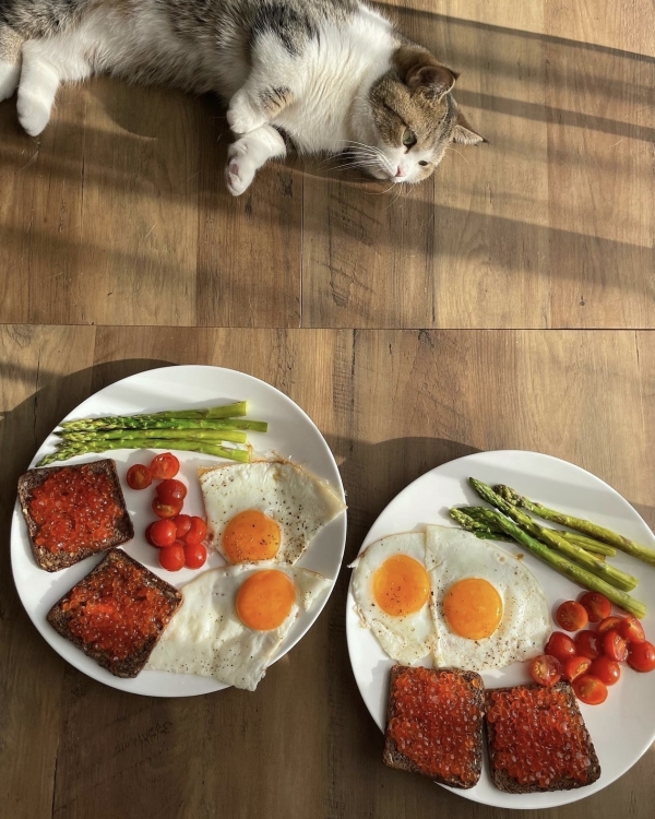 Very sporty, very mindful: 15 wellness-инфлюенсеров, которые