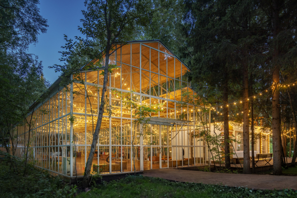 Площадки The Birch