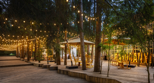 Площадки The Birch