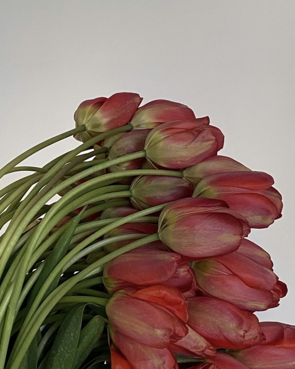 Как избавиться от страха что-то не успеть?