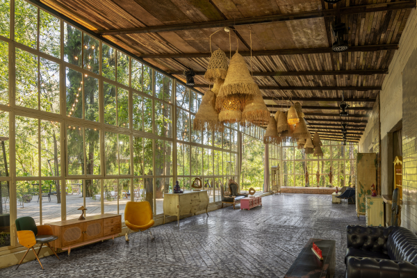 Площадки The Birch