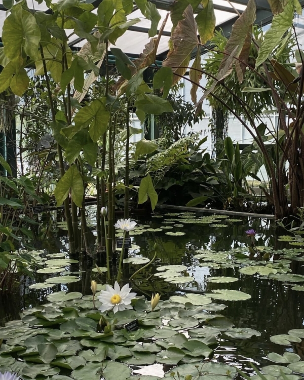 Где устроить предсвадебную съемку осенью в Москве?