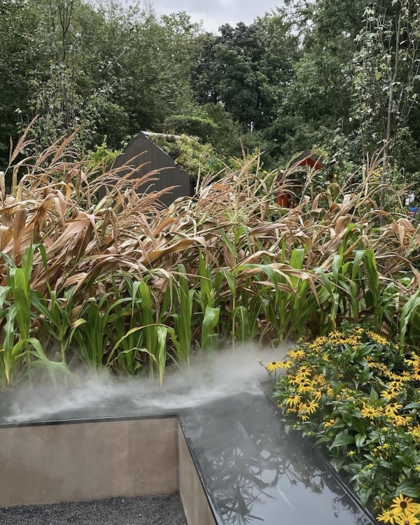 Джаз под звездным небом, звезды диджеинга в