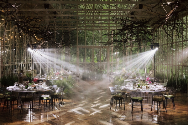 Площадки The Birch