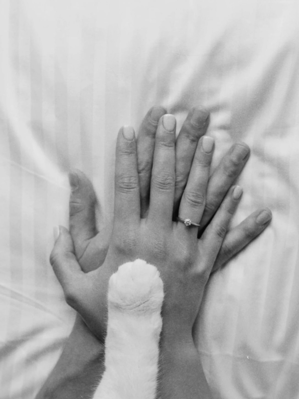 Где напечатать красивую свадебную фотокнигу?