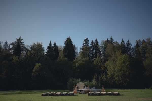 Площадки The Birch