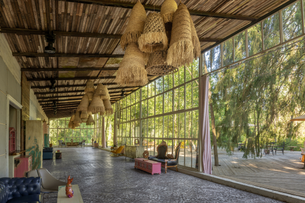 Площадки The Birch