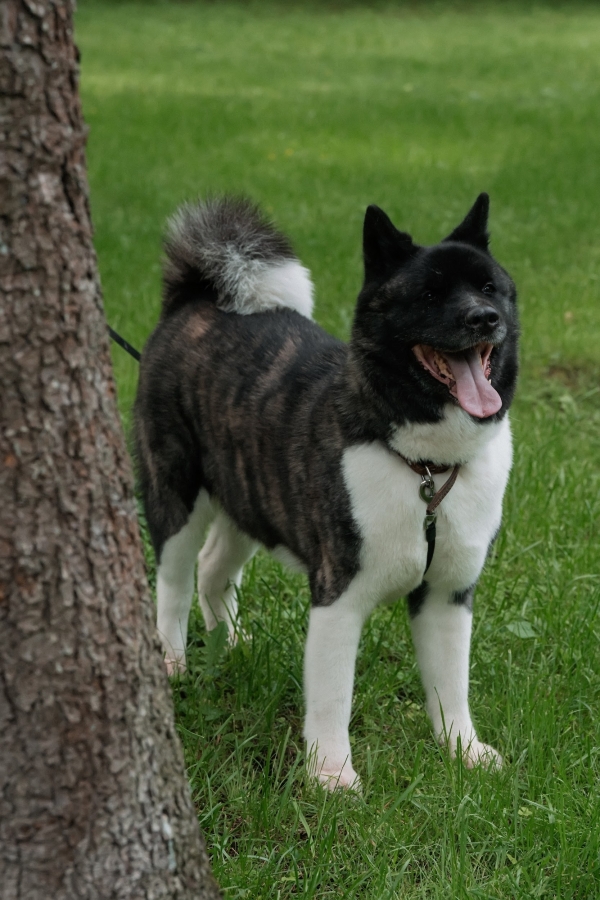 Интервью с невестой: об идеальной свадьбе в