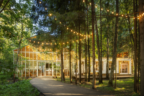 Площадки The Birch