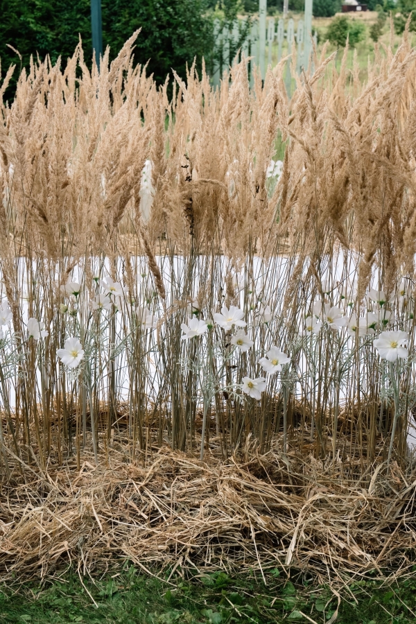 Вдохновение à la russe и торт из