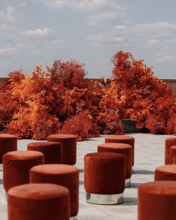 Посмотрите на эстетику свадьбы, вдохновленной «Дюной», Волшебником
