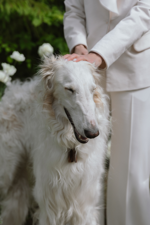 Агентства GREY CHIC Wedding