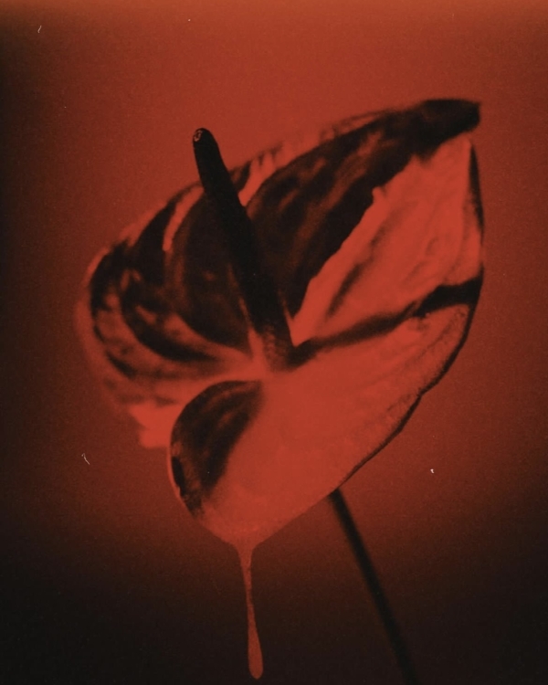 Где устроить предсвадебную съемку осенью в Москве?