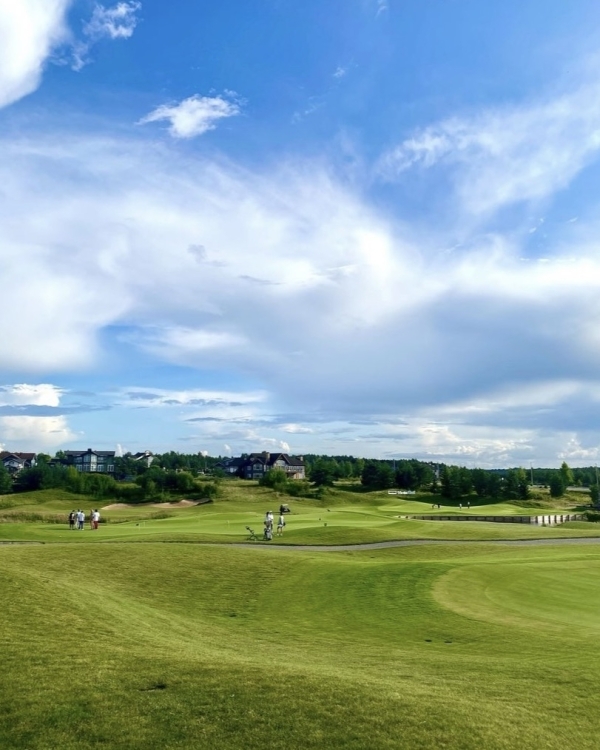 Гений, миллиардер, плейбой. Где познакомиться с мужчиной