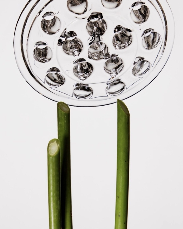 Солнце светит всем одинаково. Домашние спа-ритуалы для