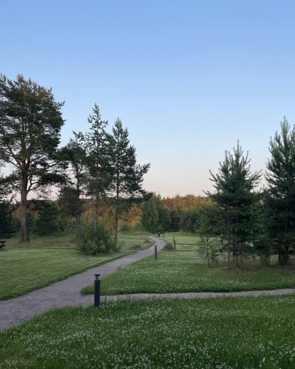 Маршрут построен: отправляемся на выходные в Ленобласть