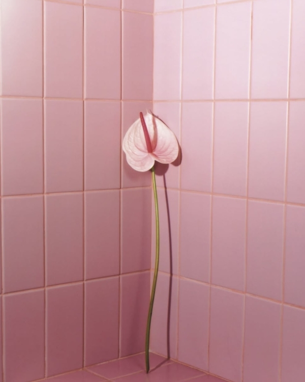 Свидание для интровертов. Куда пойти, если вам