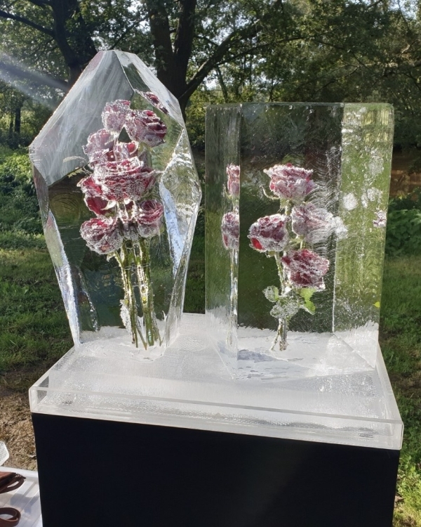 20+ доказательств того, что ледяные скульптуры —