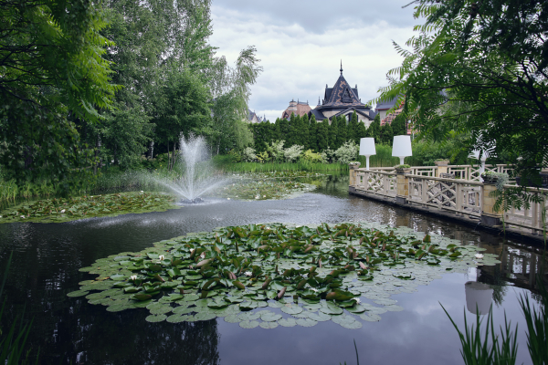 Площадки Жан Реми
