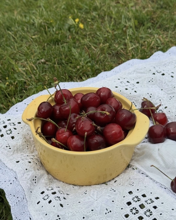 The Last Call of Summer: 10 идей,