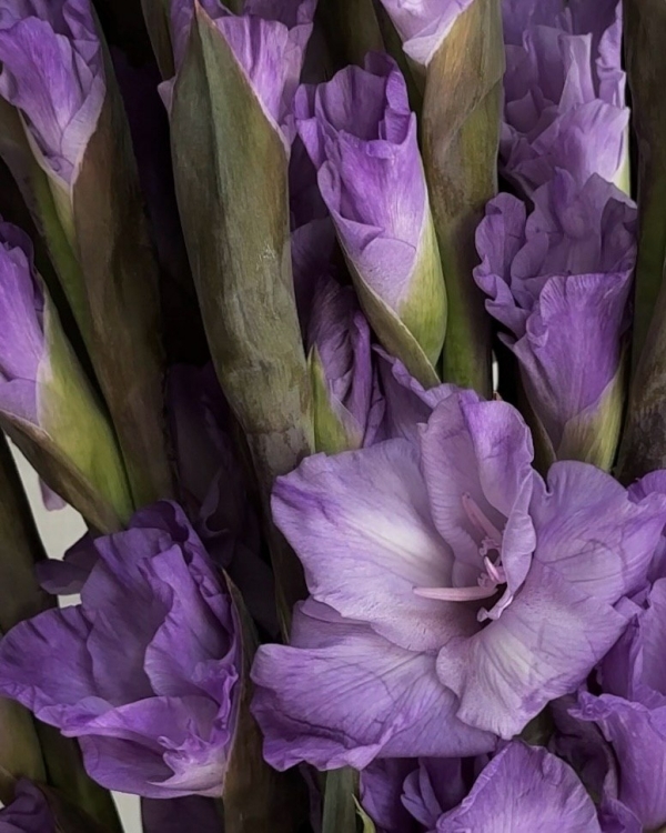 «Наброски с обнаженной натуры» в Yauza, выставка