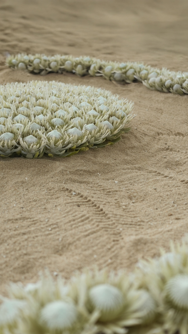 Как Dubova Events оживили Атлантиду на Маврикии?