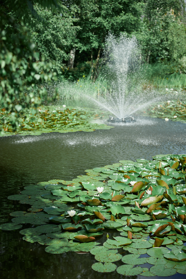 Площадки Жан Реми