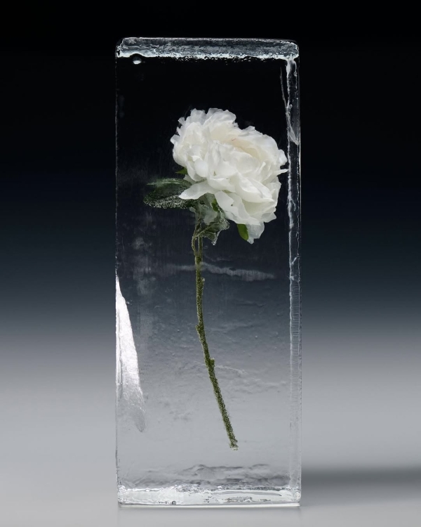 20+ доказательств того, что ледяные скульптуры —