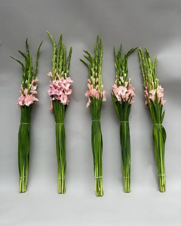 Культурное свидание в Москве: куда сводить вторую