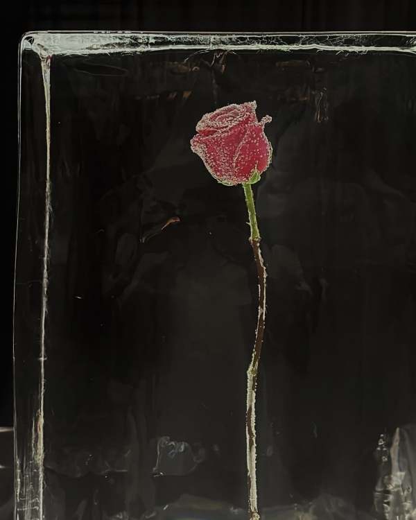 20+ доказательств того, что ледяные скульптуры —