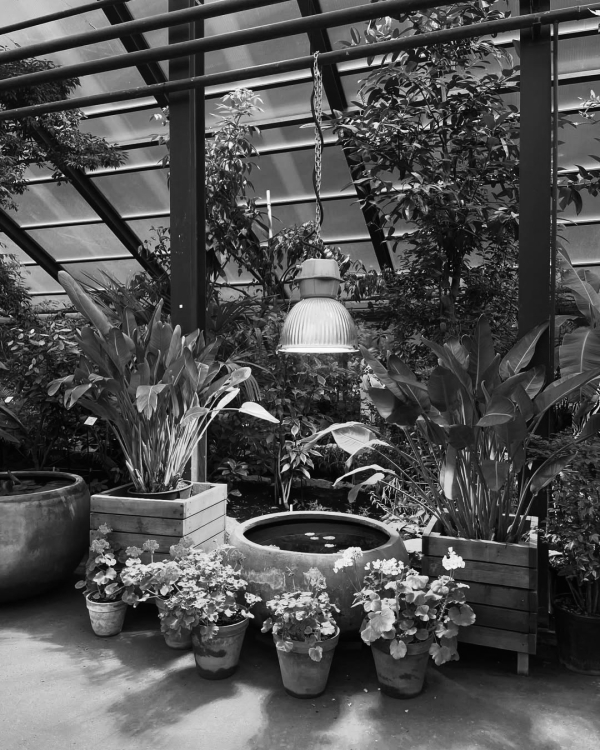 Свидание для интровертов. Куда пойти, если вам