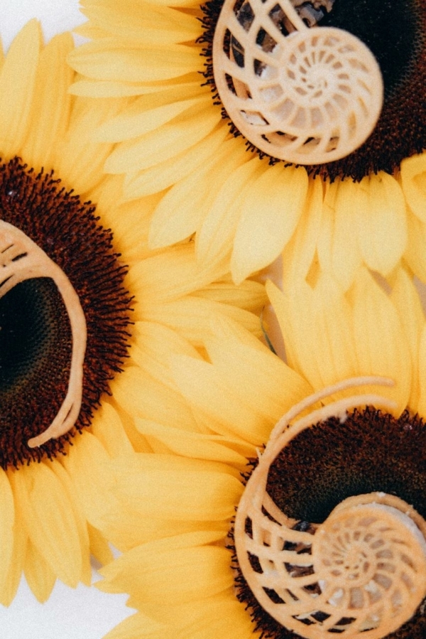 «Поэзия вкусов» в The Carlton, Moscow: гастрономическое