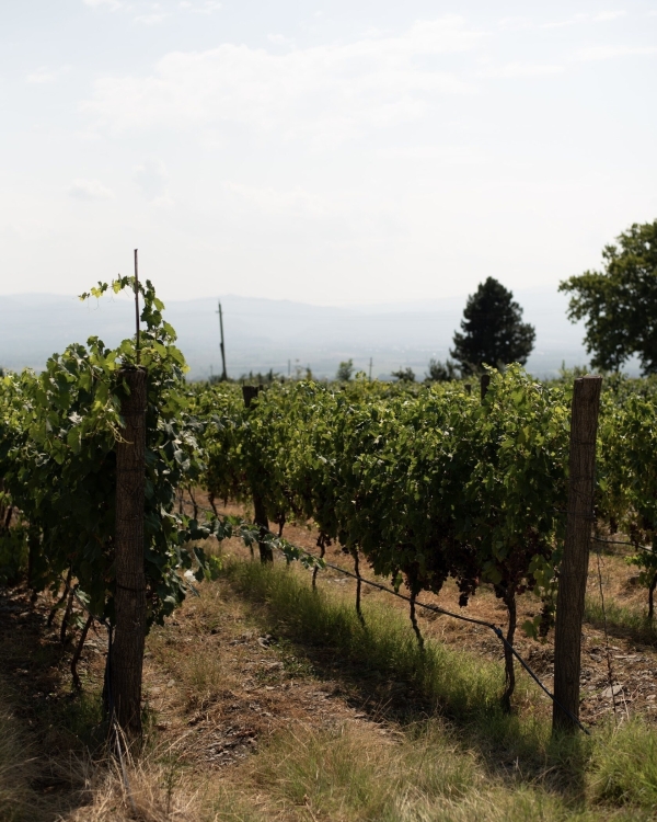 Что дарить тем, кому ничего не нужно?