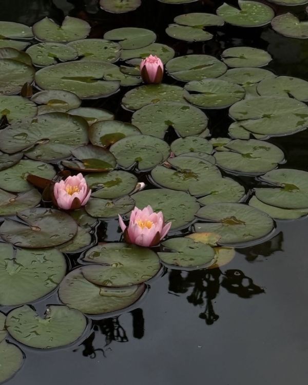 Свидание для интровертов. Куда пойти, если вам