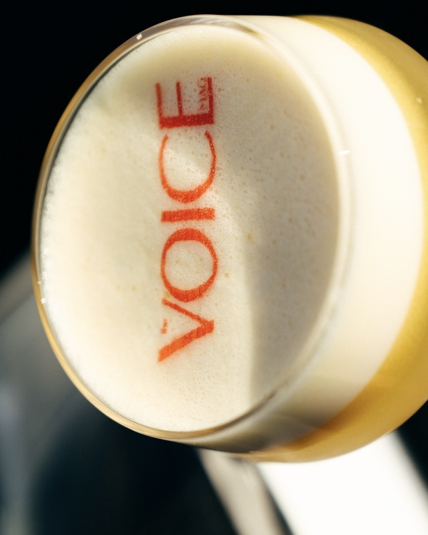 Как создавалась премия Voice Influencer Awards