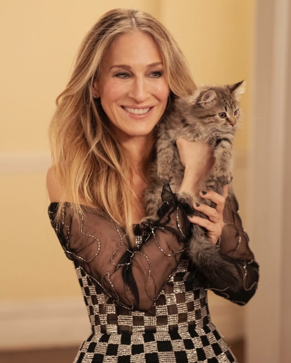 В чем проблема Кэрри Брэдшоу?