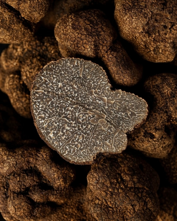 Все только начинается. 20 атмосферных ресторанов для