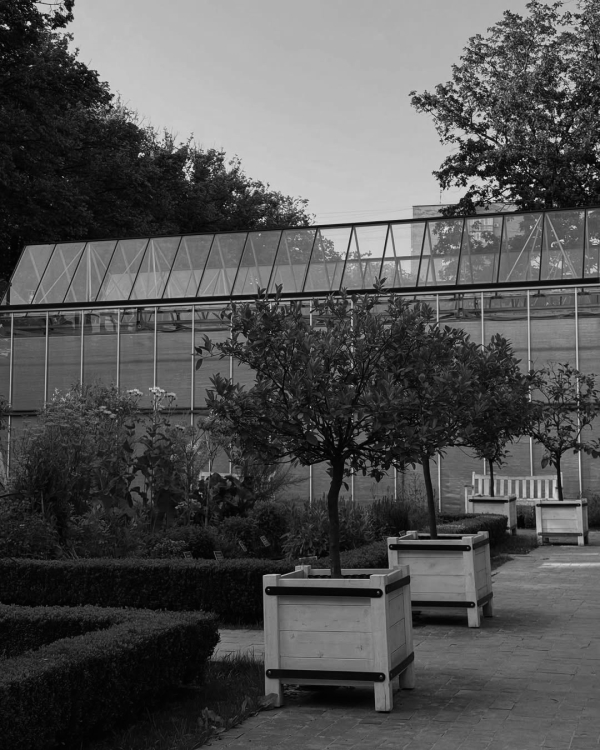 «Наброски с обнаженной натуры» в Yauza, выставка