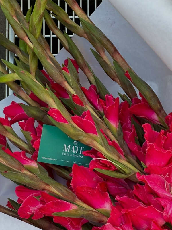 Что дарить тем, кому ничего не нужно?