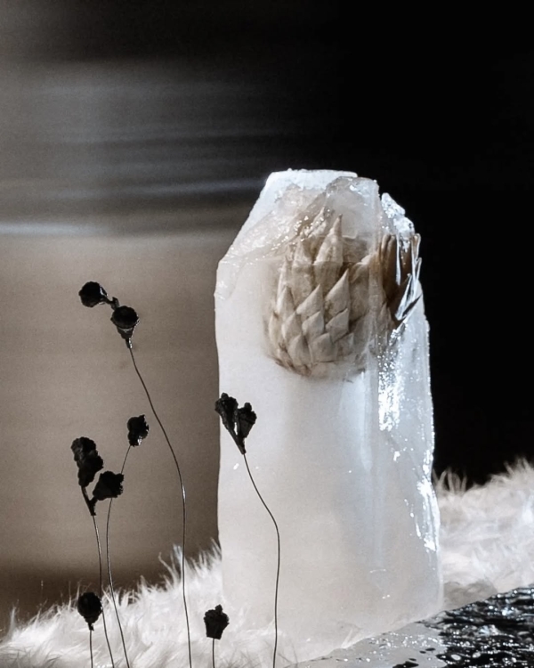 20+ доказательств того, что ледяные скульптуры —