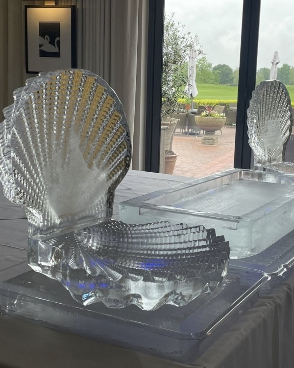 20+ доказательств того, что ледяные скульптуры —