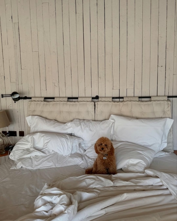 Вы оба работаете из дома. Как не