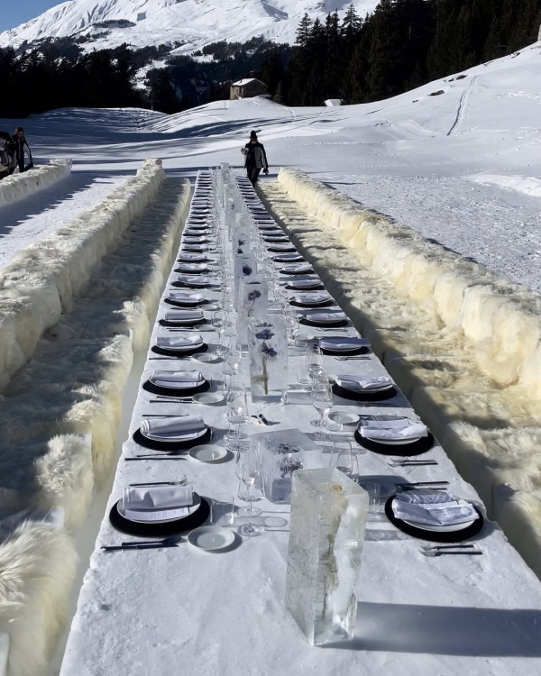 20+ доказательств того, что ледяные скульптуры —