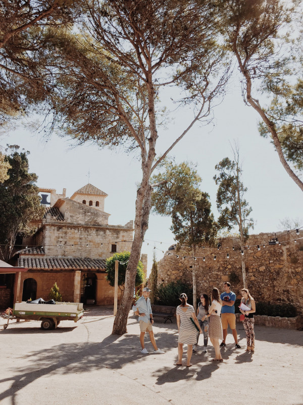 Shall we get married here?