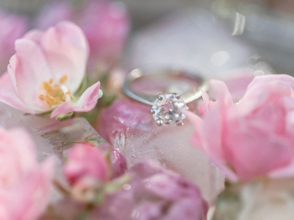 Under the Tuscan sun