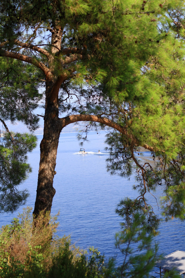 5 причин провести медовый месяц в Турции